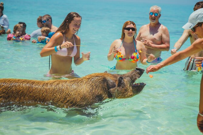 Guided All Inclusive Beach Day Excursion in Bahamas - Rose Island’s draw: a quick Nassau escape that feels grown-up easy