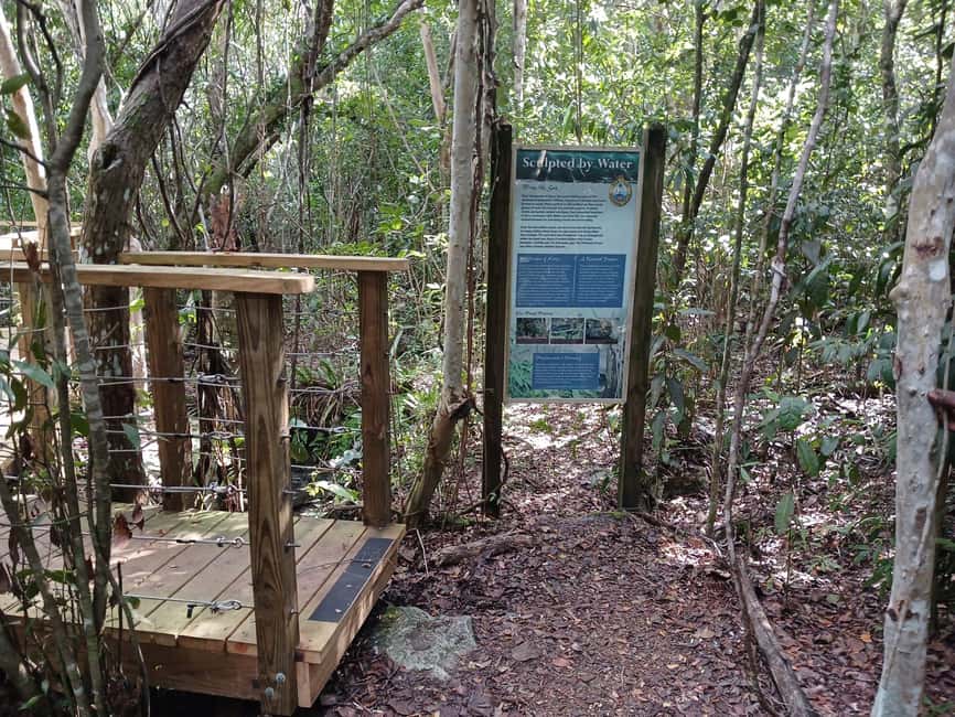Guided Primeval Nature Walk Tour - Cave Point limestone caves: what you do in the first stretch