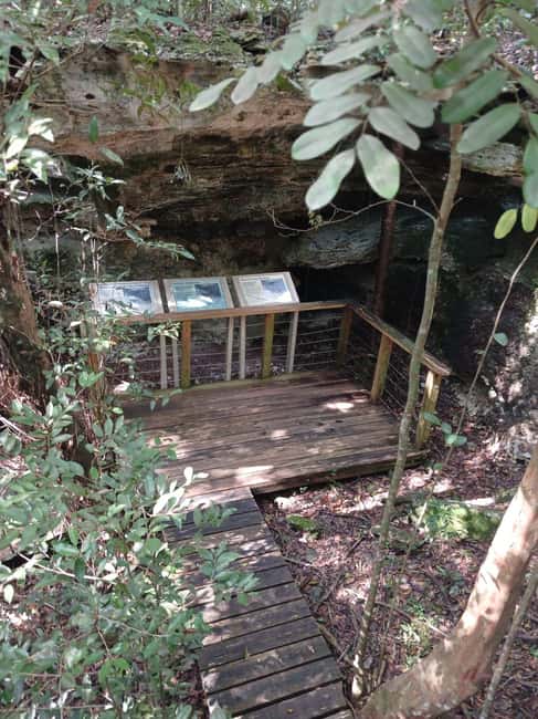 Guided Primeval Nature Walk Tour - Clifton Heritage Site and the Oldest Slave Village: history you can stand on