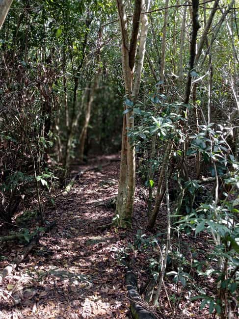 Guided Primeval Nature Walk Tour - Jaws Beach break: short, calm, and photo-friendly
