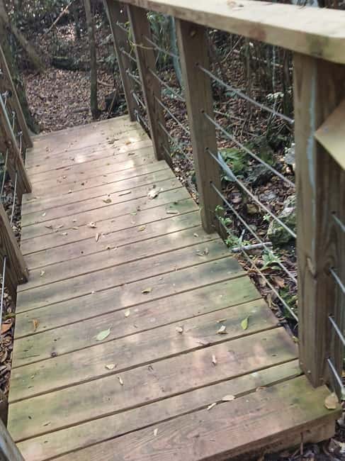 Guided Primeval Nature Walk Tour - Price and value: is $140 per person fair for this route?