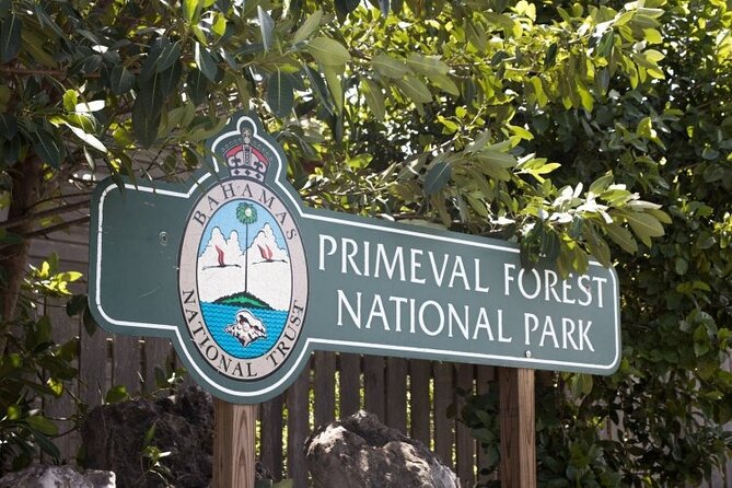 Guided Primeval Nature Walk Tour in Primeval Forest National Park - Key things to know before you go