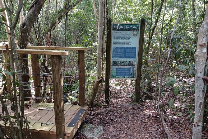 Guided Primeval Nature Walk Tour in Primeval Forest National Park - Meeting at Bay Street and rolling with Bahamas Velocity Tours