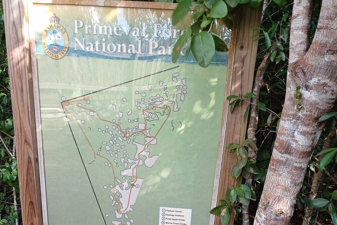 Guided Primeval Nature Walk Tour in Primeval Forest National Park - Stop 1, The Caves of New Providence: fast entry, big atmosphere