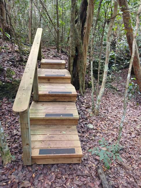 Guided Primeval Nature Walk Tour - Where the tour starts in Nassau, and what it means for cruise days