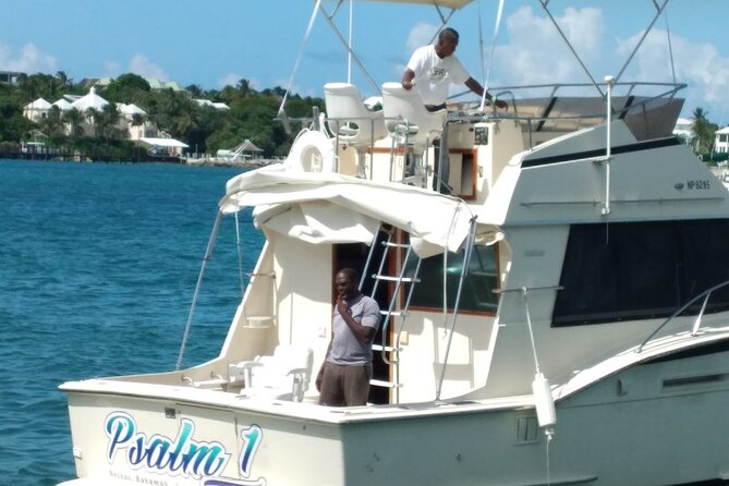 Half-Day at Green Cay Bahamas Snorkeling with Turtles - Rose Island Beach and Lunch: Private Time with Clear Water