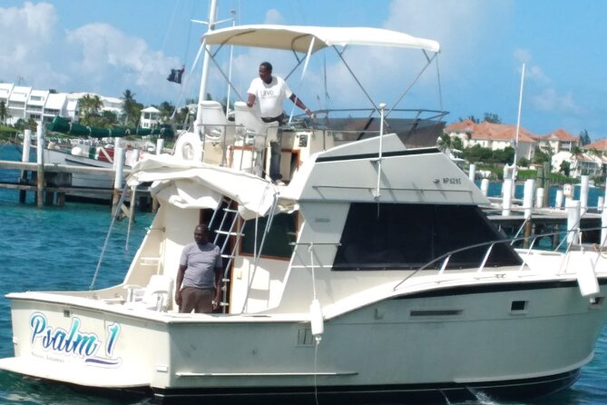 Half-Day at Green Cay Bahamas Snorkeling with Turtles - Weather and Timing: When the Bahamas Calls, You Need Flexibility