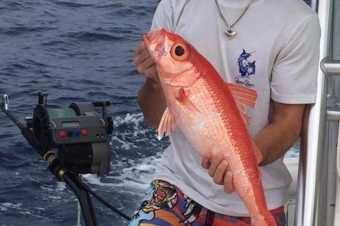 Half day Deep sea/light tackle fishing charters - The price question: $920 per group, and how to judge the value