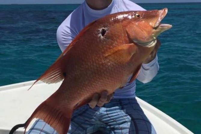 Half day Deep sea/light tackle fishing charters - What happens if the fishing day is not perfect