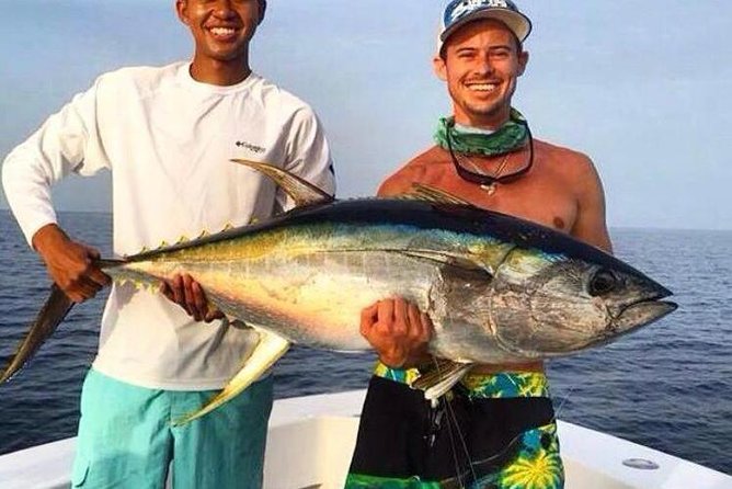 Half day Deep sea/light tackle fishing charters - Meeting on Bay Street, then back again