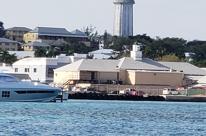 Half-Day Guided Boat Tour of Nassau Harbour and Rose Island - Rose Island: Sea Turtles, Beach Time, and the Swimming Pigs