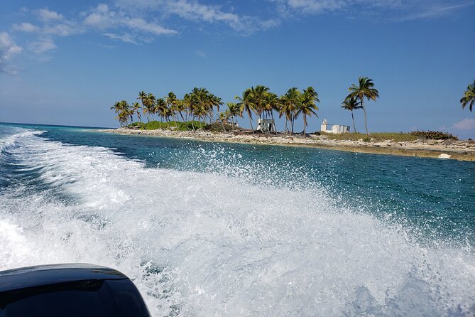 Half-Day Guided Boat Tour of Nassau Harbour and Rose Island - Lunch, Snacks, and Drinks That Actually Fit the Day