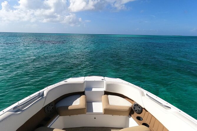 Half-Day Luxury Private Rose Island Pigs and Turtles Excursion - The private, four-hour format that keeps it fun