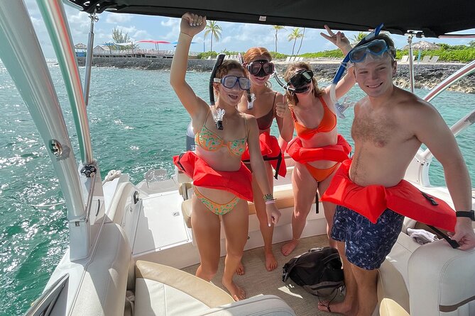 Half-Day Luxury Private Rose Island Pigs and Turtles Excursion - Who this Rose Island pig and turtle outing fits best