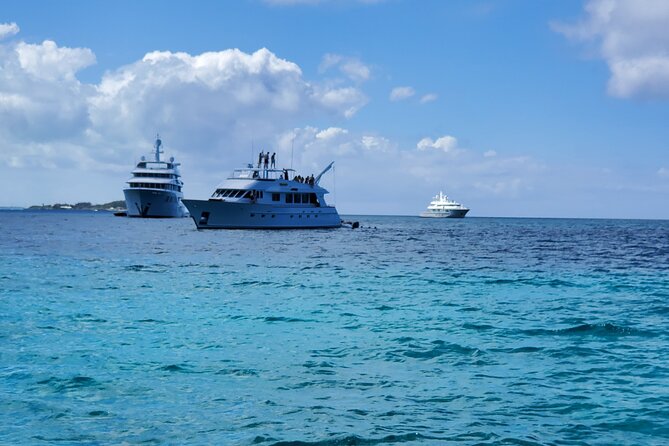 HALF DAY Swiming Pigs and Sharks Tour (Nassau to Exuma by Plane) - Gaulin Cay Iguanas: A Short Stop With Ancient Vibes