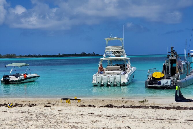HALF DAY Swiming Pigs and Sharks Tour (Nassau to Exuma by Plane) - Getting Back to Nassau: Timing and Motion Matter