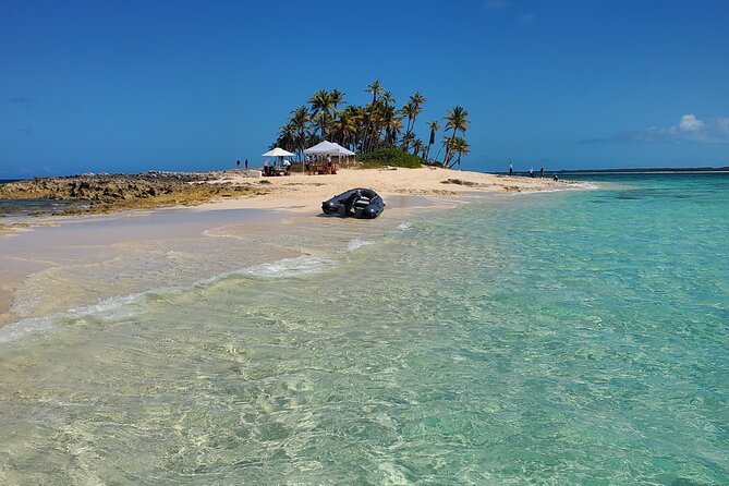 HALF DAY Swiming Pigs and Sharks Tour (Nassau to Exuma by Plane) - Price and Value: $4,000 Per Group Sounds Big, But It’s Not DIY