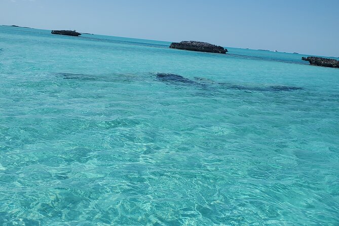 HALF DAY Swiming Pigs and Sharks Tour (Nassau to Exuma by Plane) - Comfort, What’s Included, and What to Bring
