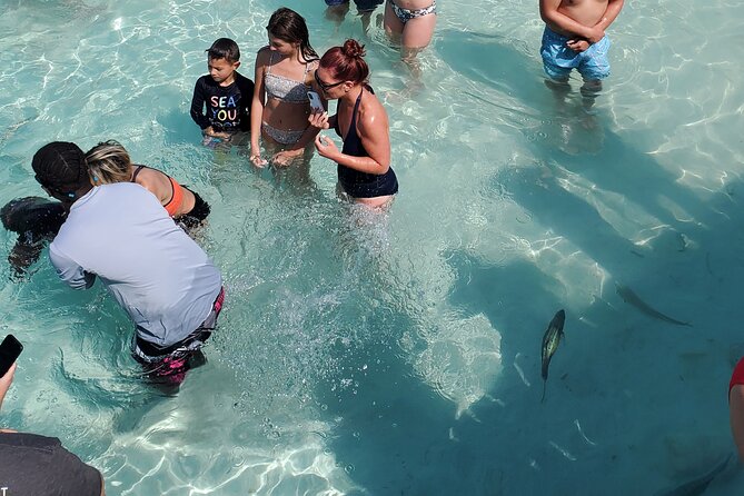 HALF DAY Swiming Pigs and Sharks Tour (Nassau to Exuma by Plane) - Thunderball Grotto and Snorkeling: Calm Water, Big Movie Energy