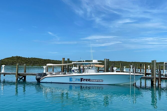 Half Day Swimming Pigs on Rose Island, Snorkeling and Lunch - Starting from Paradise Island: where check-in really matters