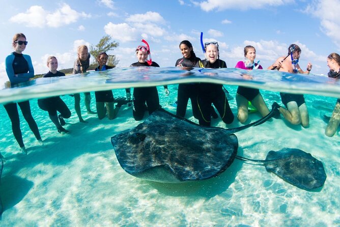 Honeymoon Harbour and The Sapona Day Trip - Key highlights to plan for