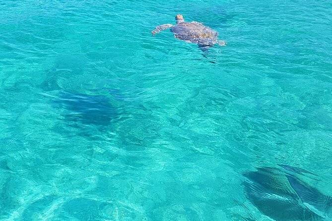Honor Roll Private Bahamas Boat Charter - Setting Sail from Margaritaville, Paradise Island