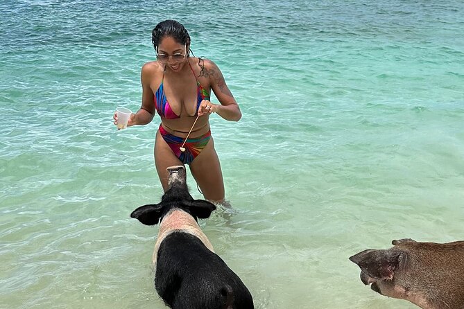 Luxury Catamaran Cruise: Sip, Sail, Snorkel, and Swim with Pigs! - Key highlights to know before you go