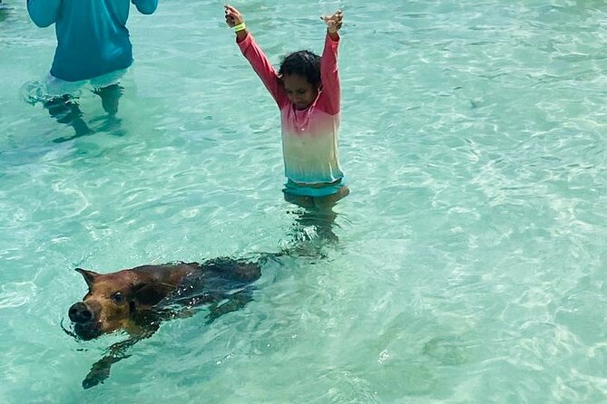 Luxury Catamaran Cruise: Sip, Sail, Snorkel, and Swim with Pigs! - Why this catamaran feels like a real day off, not a rushed tour