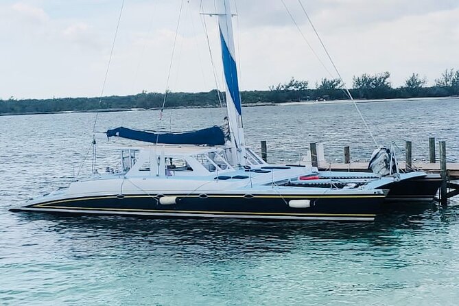 Luxury Catamaran Cruise: Sip, Sail, Snorkel, and Swim with Pigs! - Stop 3: Pig Beach, feeding pigs, and the reality of a fun swim