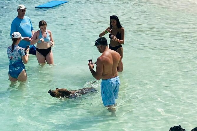 Luxury Catamaran Cruise: Sip, Sail, Snorkel, and Swim with Pigs! - Stop 4: Rose Island Sun and Fun beach party, games, and lunch