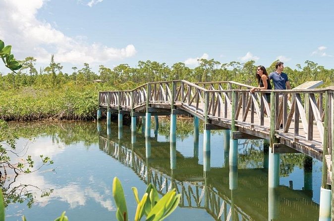 Mamma Gal Celeb-Key Native Exp. Shared Tour - Should You Book This Native Experience from Celebration Key?