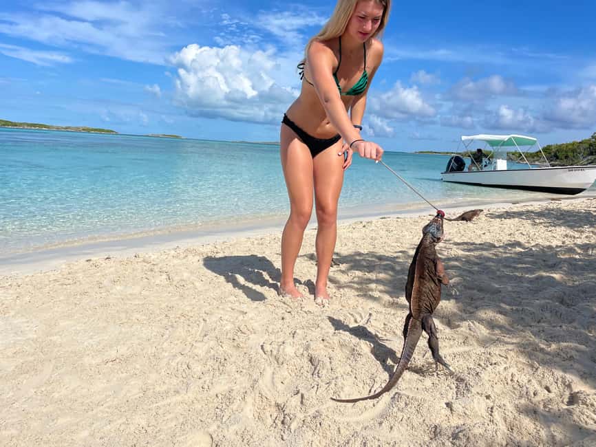 Nassau: 3 Islands Boat w/ Swimming Pigs, Snorkeling & Turtle - Should you book the Nassau 3 Islands boat with pigs, snorkeling, and turtles?