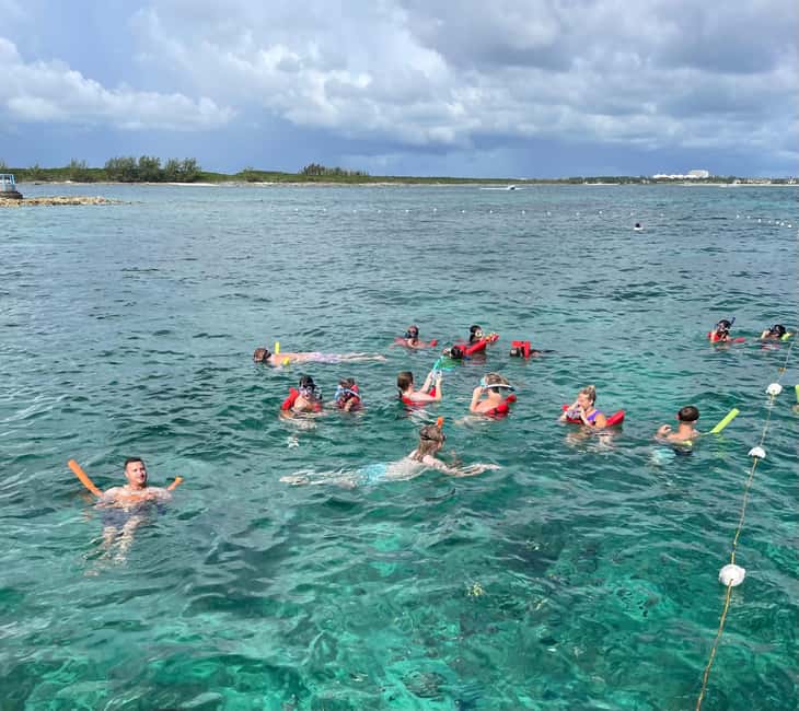 Nassau: 3 Islands Boat w/ Swimming Pigs, Snorkeling & Turtle - Rose Island: swimming pigs, feeding fun, and a real beach break