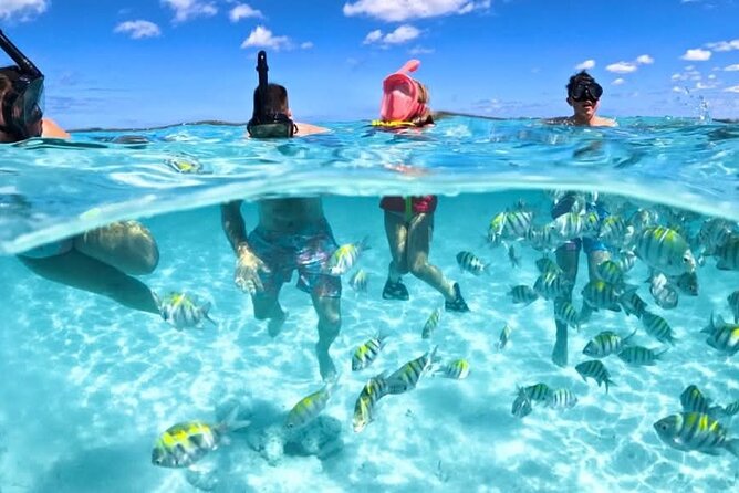 Nassau: 3 islands Pigs,Turtles,Snorkel & Beach Club with lunch - Key highlights I’d pencil into your Bahamas plan