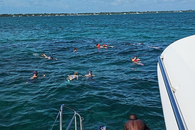 Nassau 3-stops: Snorkeling, Swimming Pigs, Turtles & Lunch - Meeting at Montagu Beach and Timing Your Day
