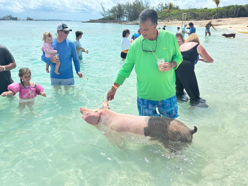 Nassau: 4-Island Tour Swimming Pigs, turtles, snorkeling - Where you meet, and how the timing tends to feel