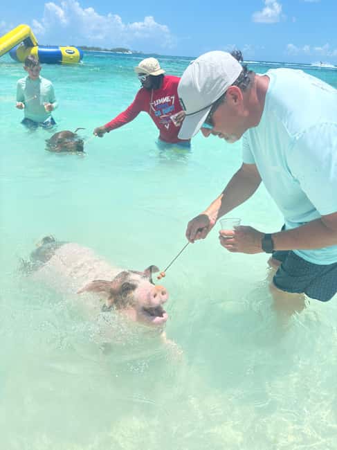 Nassau: 4-Island Tour Swimming Pigs, turtles, snorkeling - Pricing and what the $180 fee includes