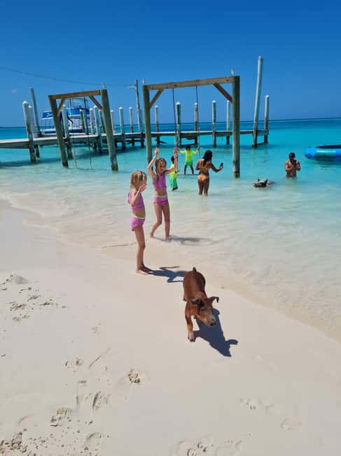 Nassau ATV & Swimming Pigs Tour - Service, efficiency, and the “you feel looked after” factor