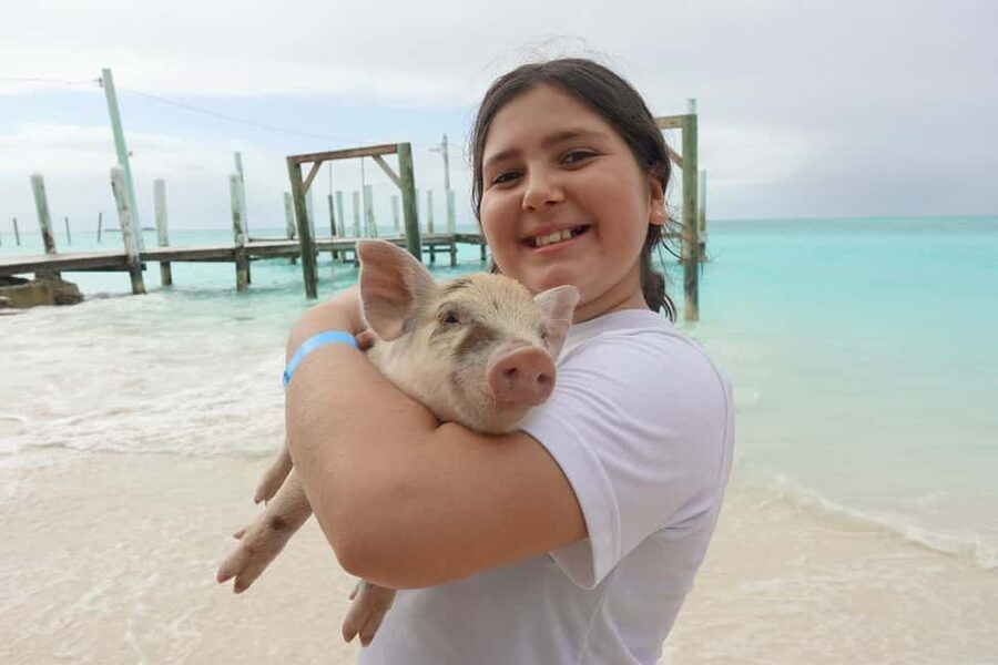 Nassau ATV & Swimming Pigs Tour - Pickup, vehicle choice, and why the timing matters