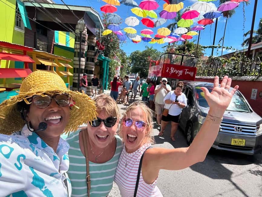 Nassau: Bahamas Culture Tour with Electric Trolley and Water - Guides and vibe: why Julian, Shakira, Fonzie, and Chippie get named