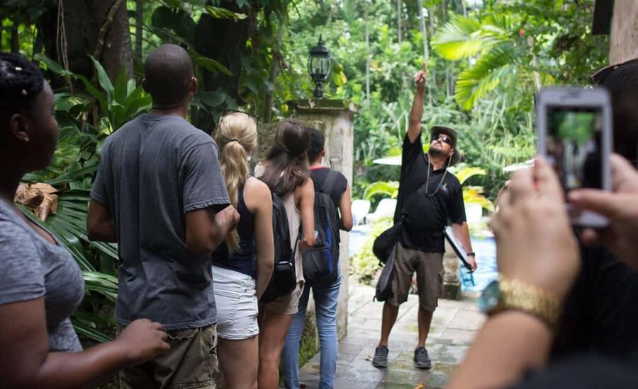 Nassau: Bites and Sites Food and Cultural Walking Tour - Nassau Bites and Sites: why this tour hits the sweet spot