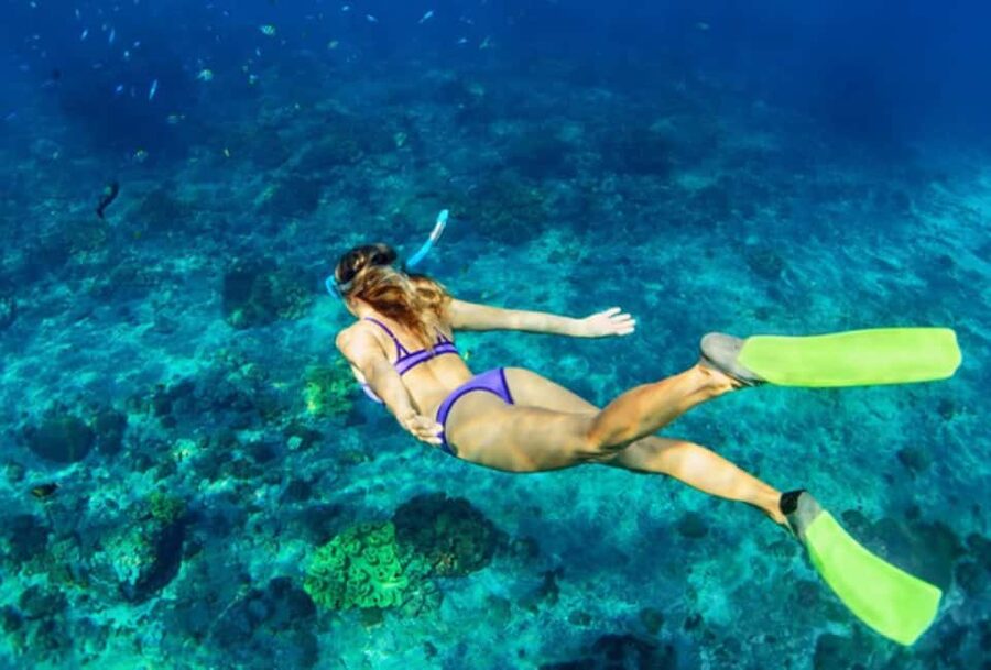 Nassau: Catamaran Sail and Snorkel Tour - Key reasons I think this is worth your time