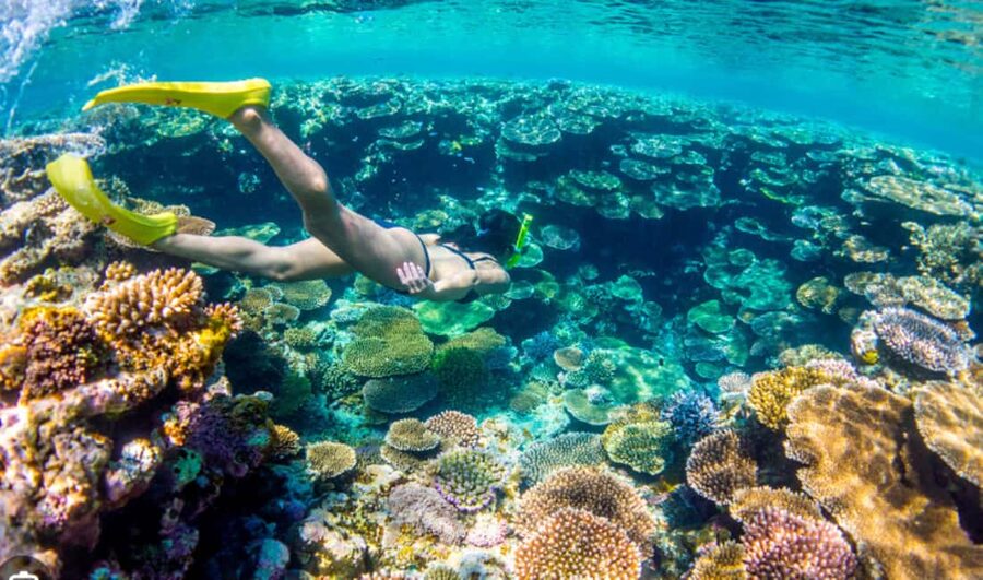 Nassau: Catamaran Sail and Snorkel Tour - Price and value: what $103 buys you (and what it does not)
