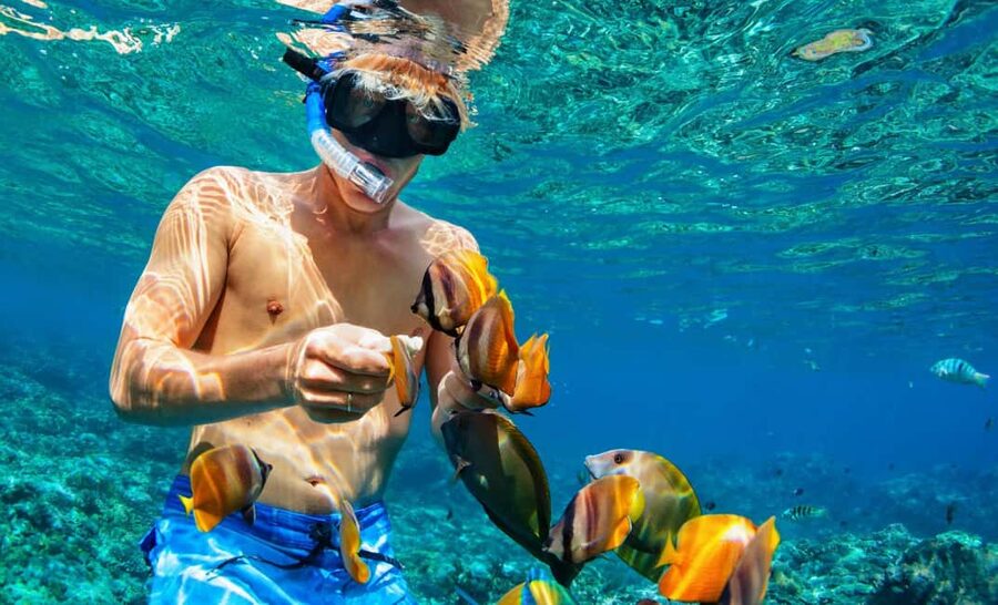Nassau: Catamaran Sail and Snorkel Tour - What to bring: reef-safe sunscreen and real comfort gear