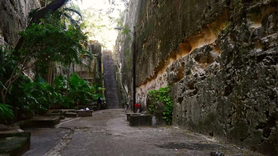Nassau City Tour: Discover the Charms of Old Charles Town - Price, Value at $80, and What Could Go Wrong