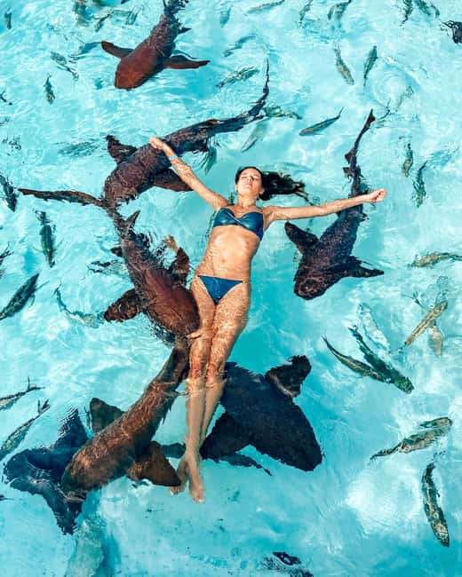 Nassau: Discover Exuma Island Hopping and Swimming Pigs Tour - Pablo Escobar’s sunken plane snorkel, what you should expect