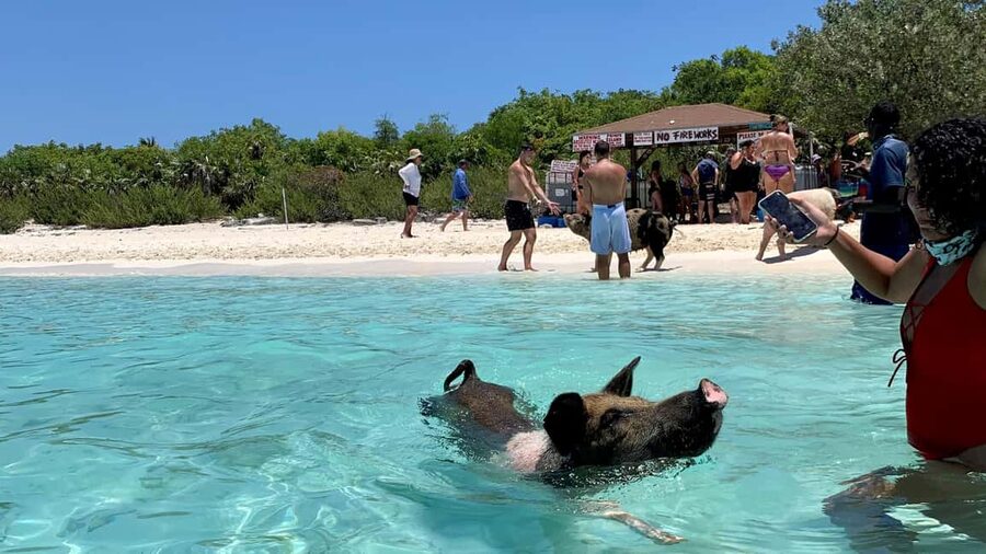 Nassau: Discover Exuma Island Hopping and Swimming Pigs Tour - Final beach or sandbar time, and how to make it count