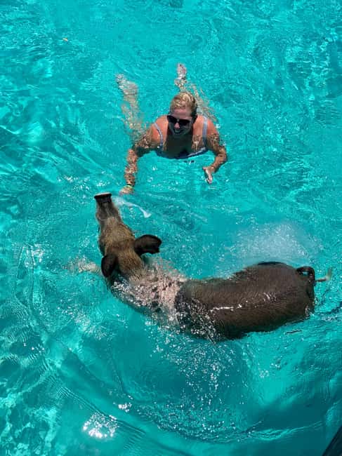 Nassau: Discover Exuma Island Hopping and Swimming Pigs Tour - Price and value, is $489 worth it