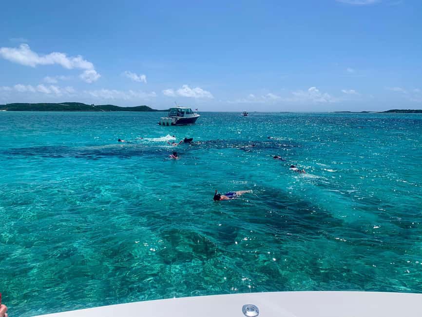 Nassau: Discover Exuma Island Hopping and Swimming Pigs Tour - Who should book this tour, and who should skip it