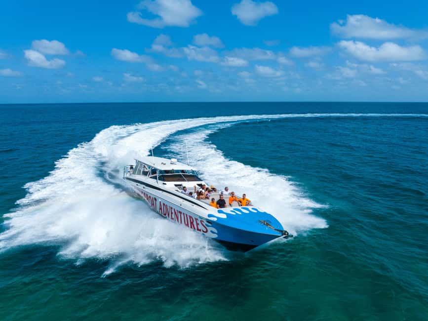 Nassau: Exuma Powerboat Day Trip - The Wildlife Schedule: Pigs, Iguanas, Stingrays, and Sharks